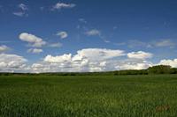 Cjp_2010_05_02_125339 (1).jpg